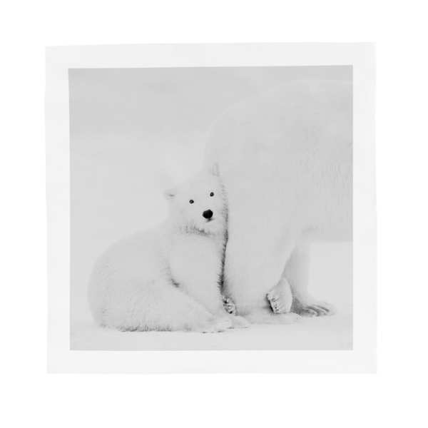 Tableau de porcelaine ours polaire